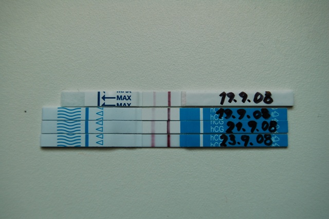 tapeta.jpg